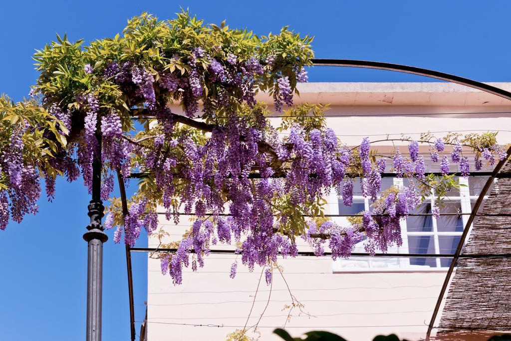 סולר Hotel Can Roses מראה חיצוני תמונה