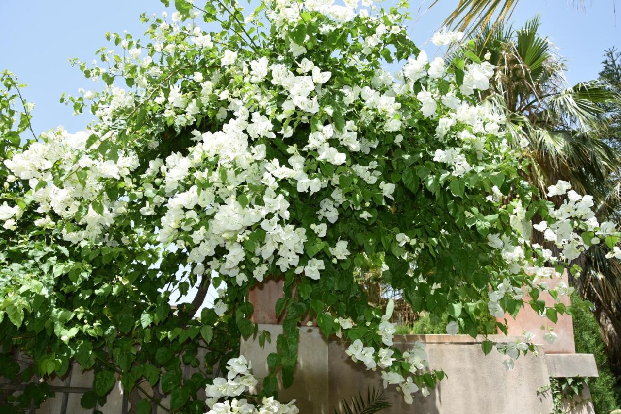סולר Hotel Can Roses מראה חיצוני תמונה